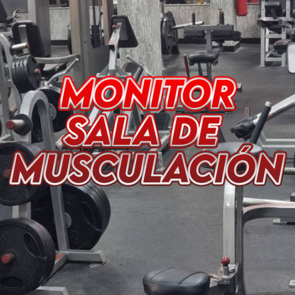 Monitor Sala de Muscualacion